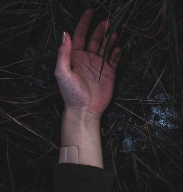 Une main humaine dans des herbes